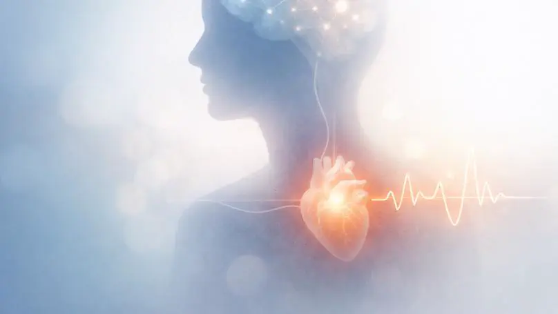 Embodied Models of Health: A Theoretical Framework of Mind-Body Unity